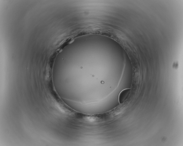 X0000091500654200709061923