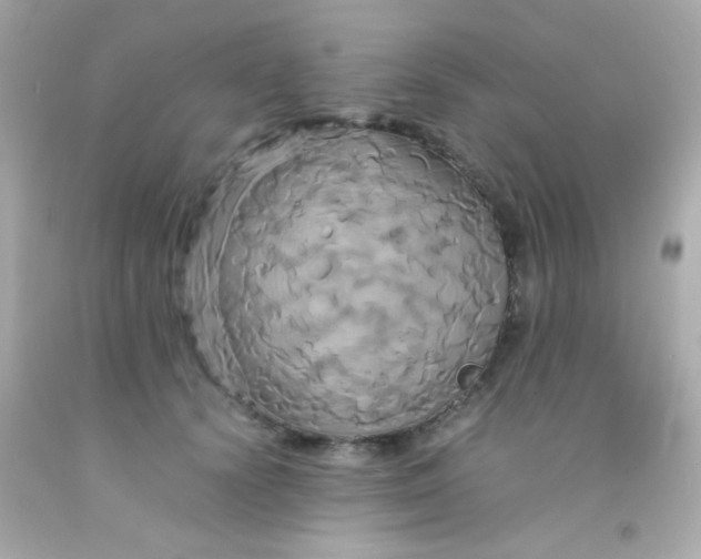 X0000091500656200709061923