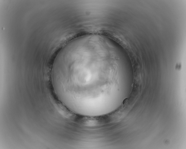 X0000091500658200709061923