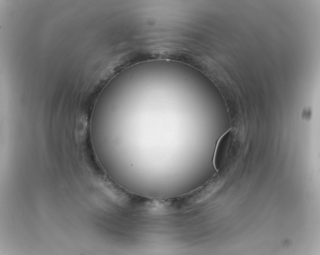 X0000091500660200709061923