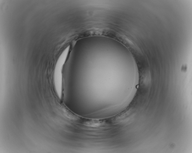 X0000091500661200709061923