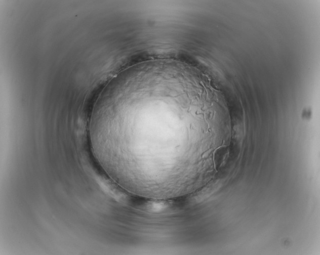 X0000091500662200709061923