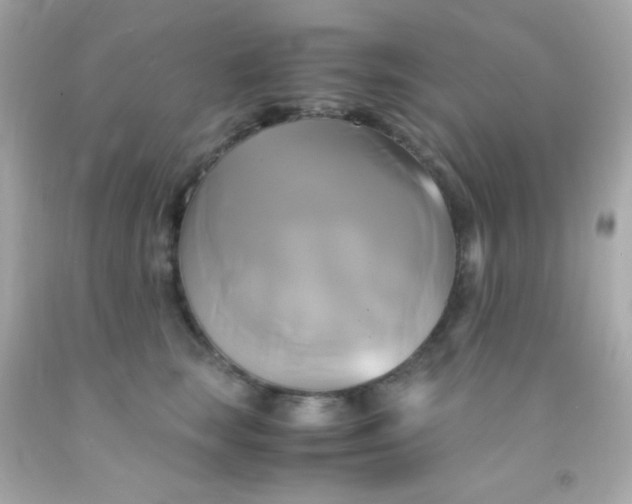 X0000091500663200709061923