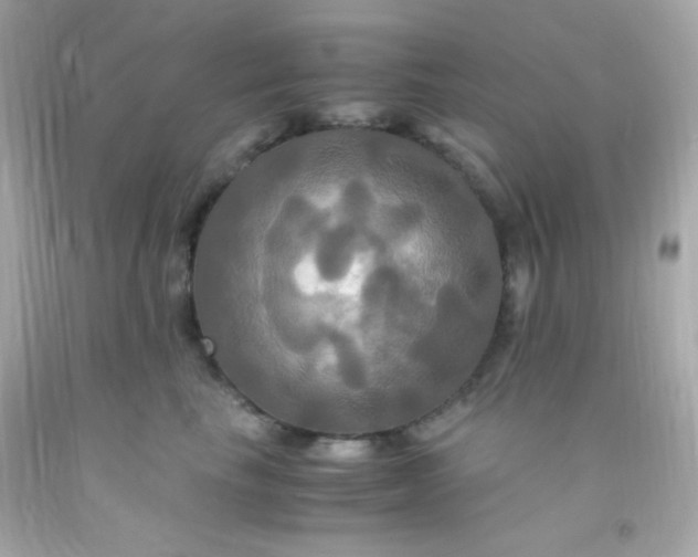 X0000091500665200709061923