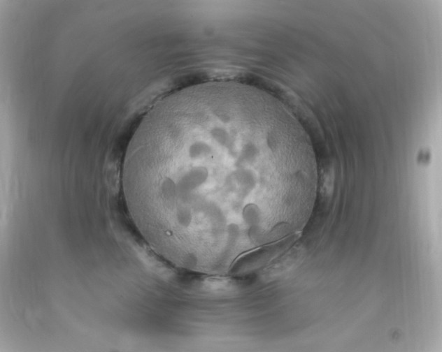 X0000091500666200709061923