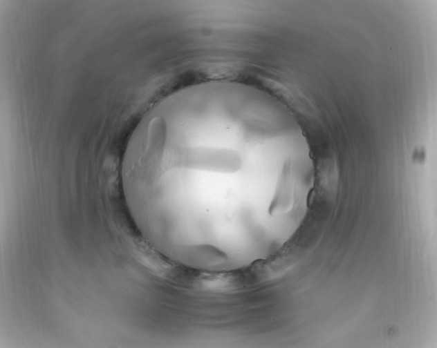 X0000091500667200709061923