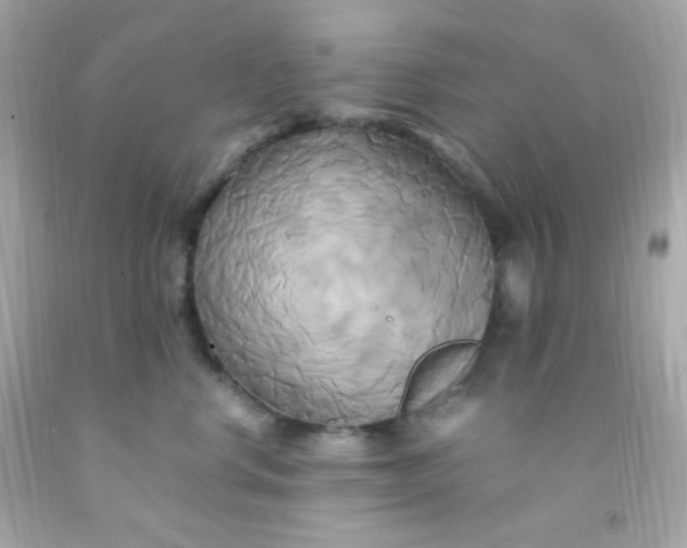 X0000091500668200709061923