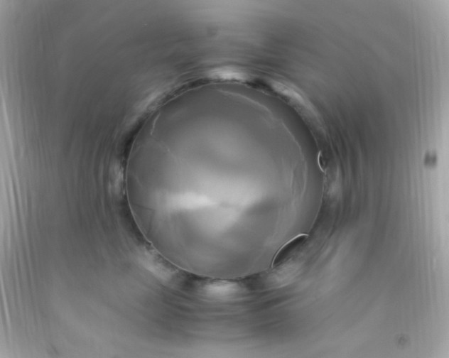 X0000091500669200709061923