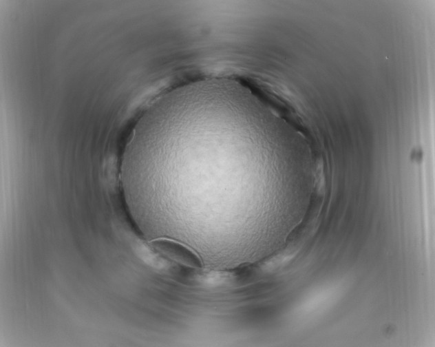 X0000091500670200709061923