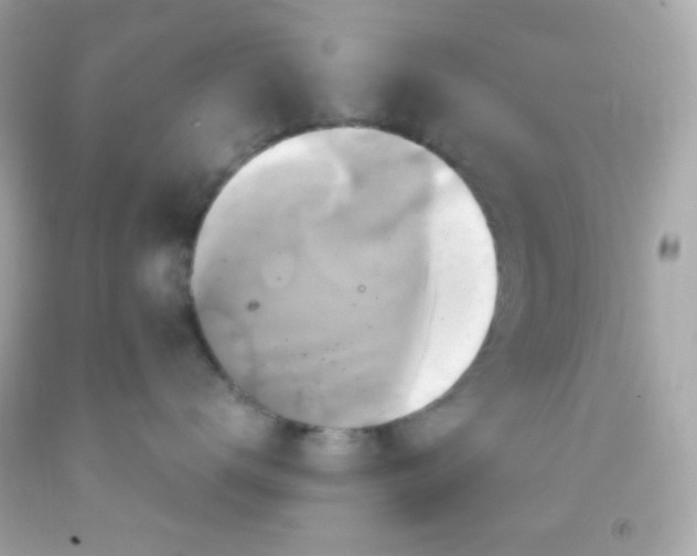 X0000091500672200709061923