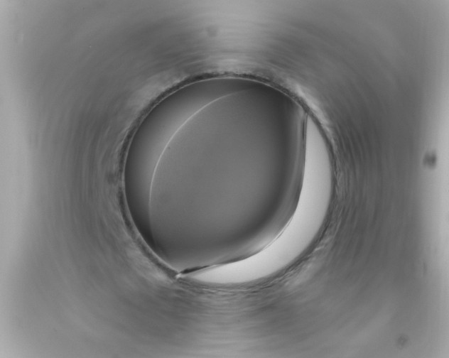 X0000091500673200709061923