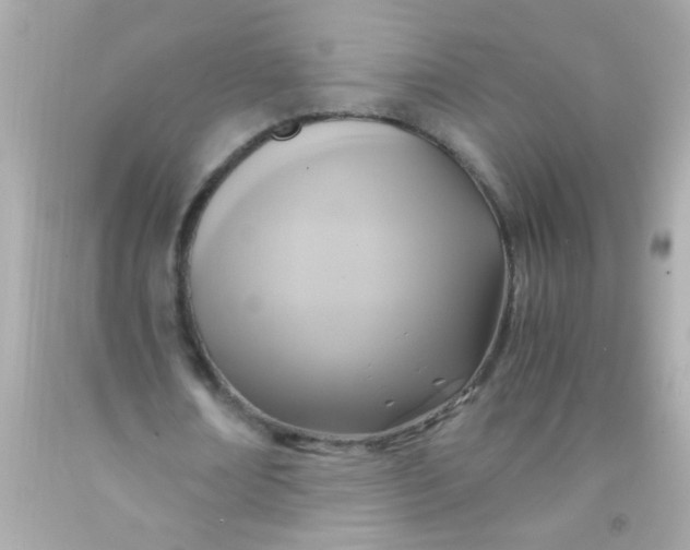 X0000091500674200709061923