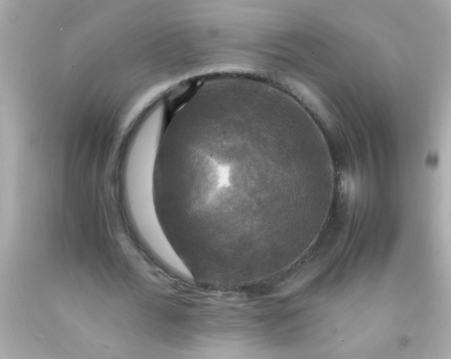 X0000091500676200709061923