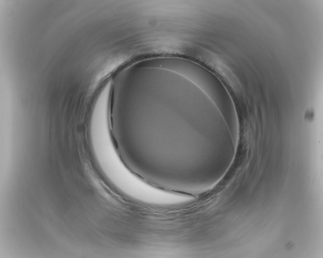 X0000091500677200709061923