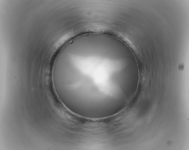 X0000091500679200709061923