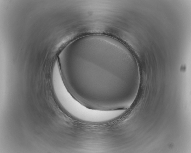 X0000091500681200709061923