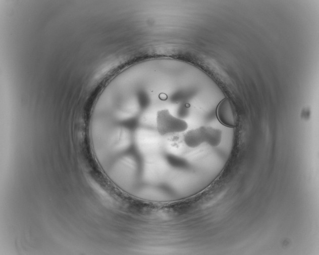 X0000091500683200709061923