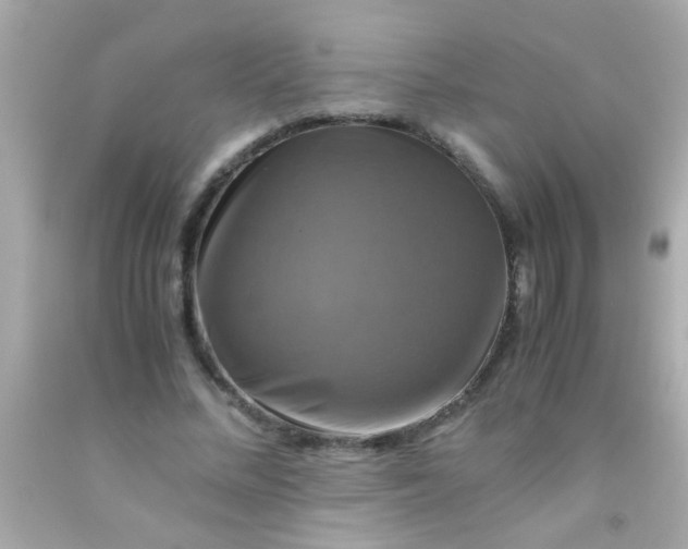 X0000091500684200709061923