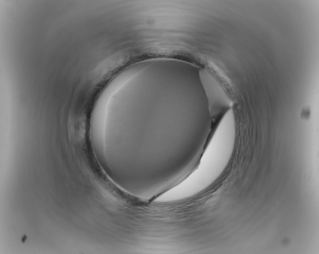 X0000091500685200709061922