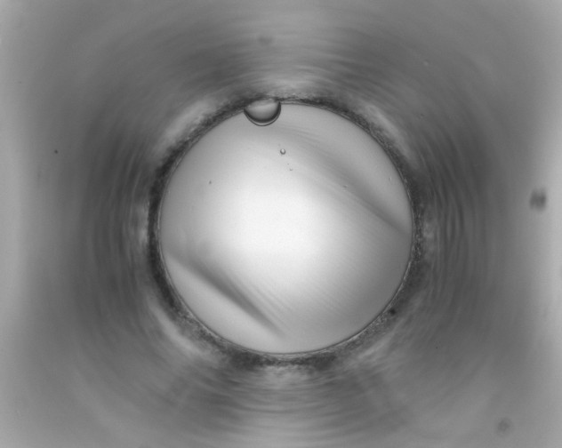 X0000091500686200709061922