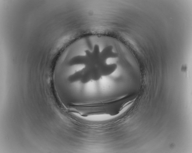 X0000091500687200709061922