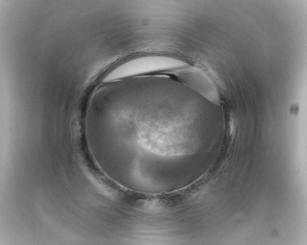 X0000091500688200709061922