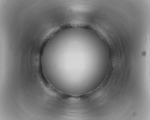 X0000091500690200709061922