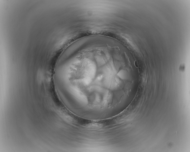 X0000091500691200709061922