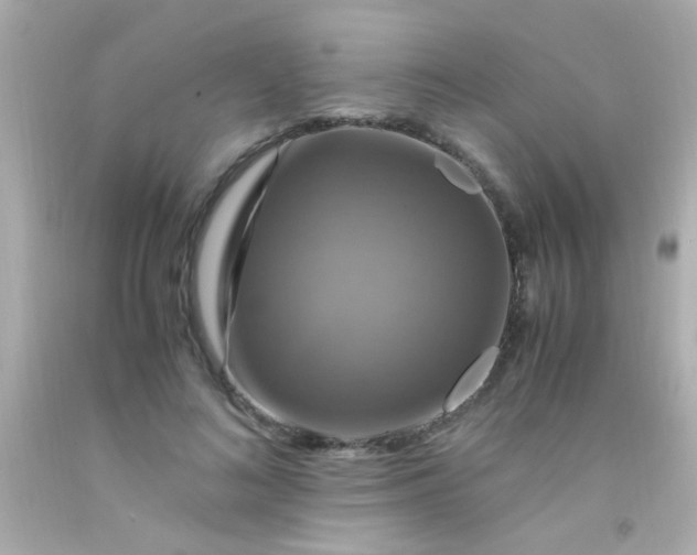 X0000091500692200709061922