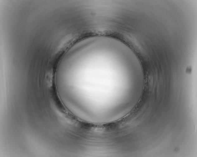 X0000091500694200709061922