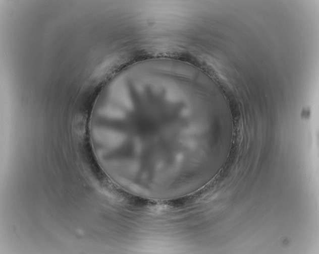 X0000091500695200709061922