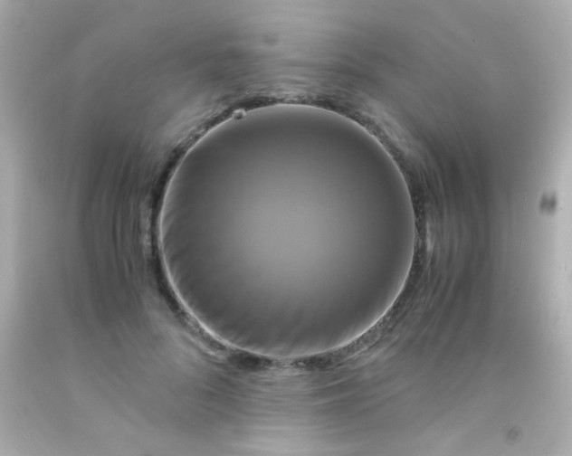 X0000091500696200709061922