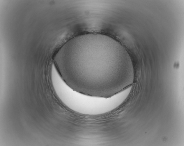 X0000091500697200709061922