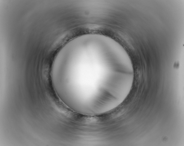 X0000091500698200709061922