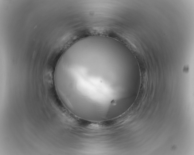 X0000091500699200709061922