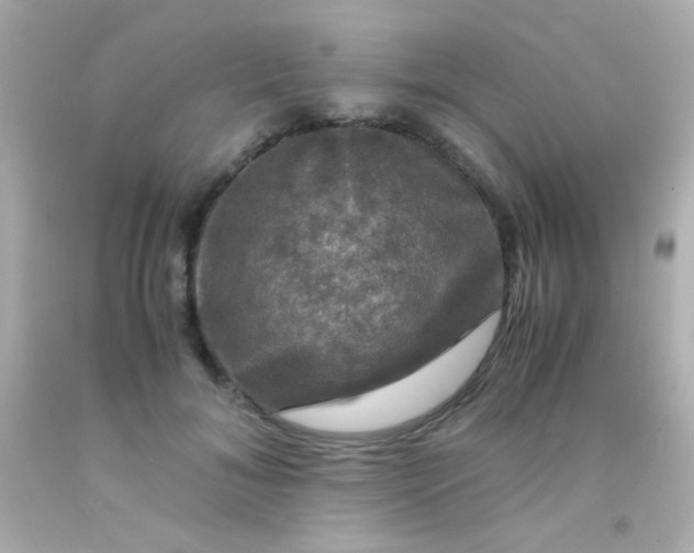 X0000091500700200709061922