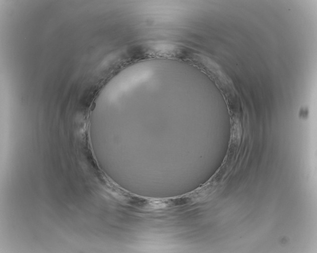 X0000091500701200709061922