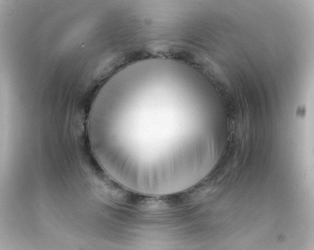 X0000091500702200709061922