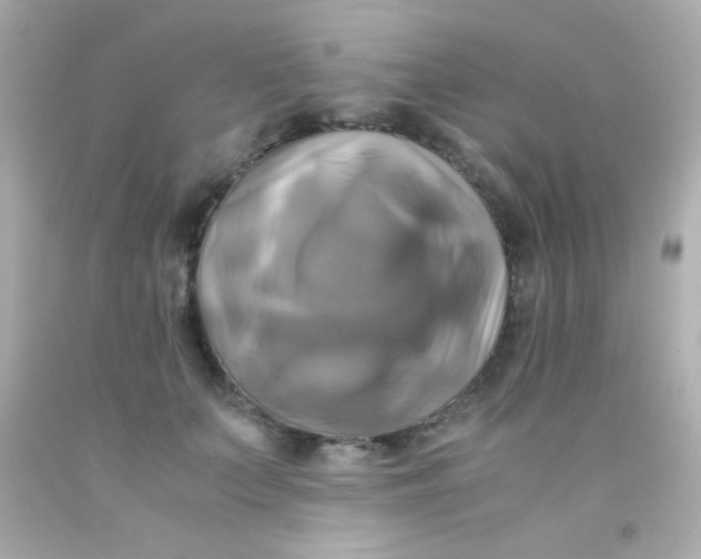 X0000091500703200709061922