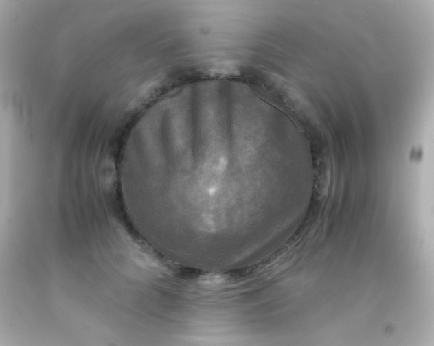 X0000091500704200709061922