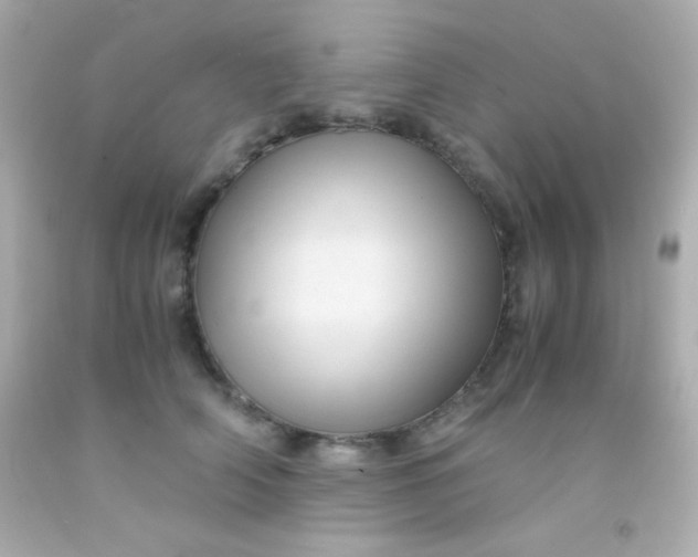 X0000091500706200709061922