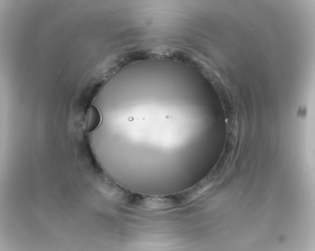 X0000091500707200709061922