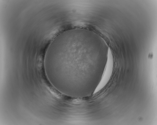 X0000091500708200709061922