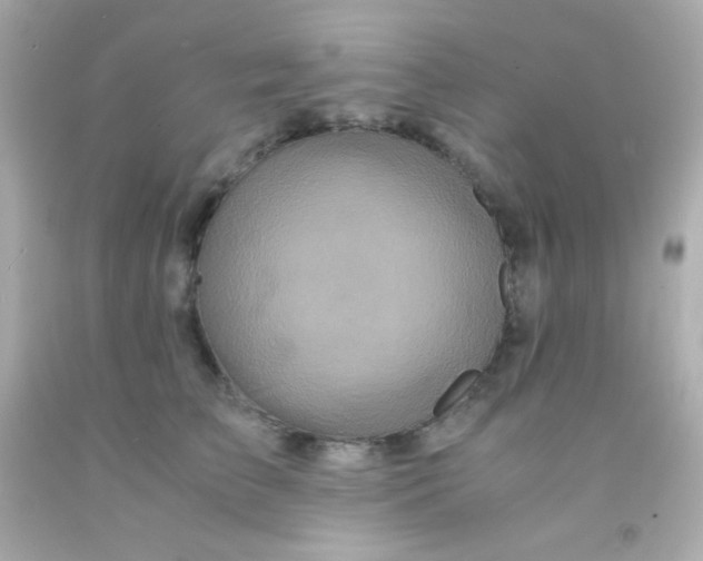 X0000091500709200709061922