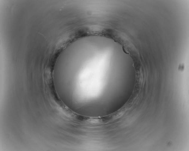 X0000091500711200709061922