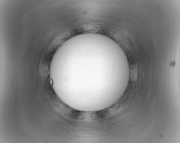 X0000091500713200709061922