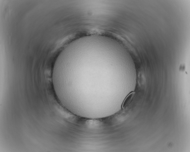 X0000091500714200709061922