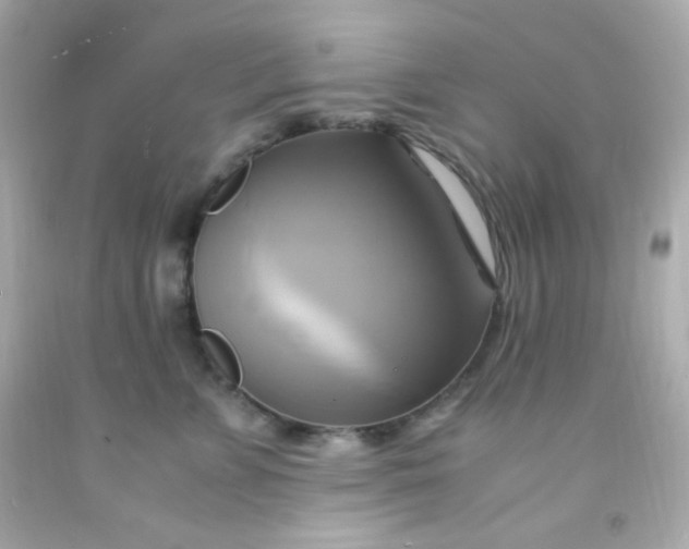 X0000091500715200709061922