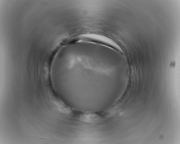 X0000091500716200709061922