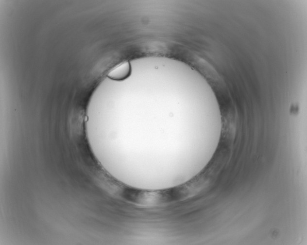 X0000091500717200709061922